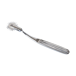 Колесо Вартенберга Pin Wheel