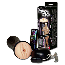 Мастурбатор Pussy To Go