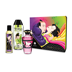 Подарунковий набір Shunga FRUITY KISSES