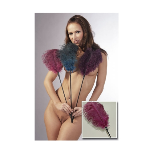 Пір’їнка – Feather