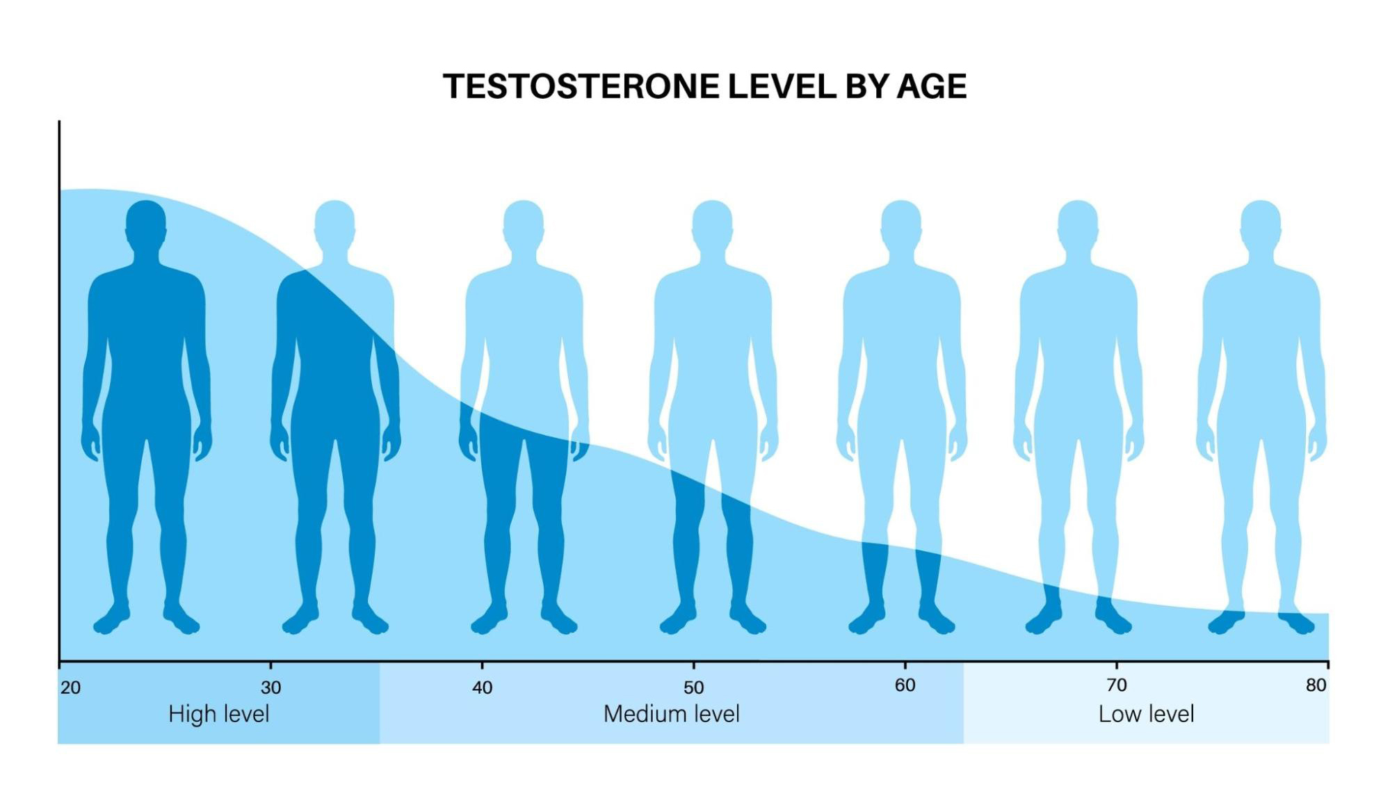 Рівень тестостерону за віком.